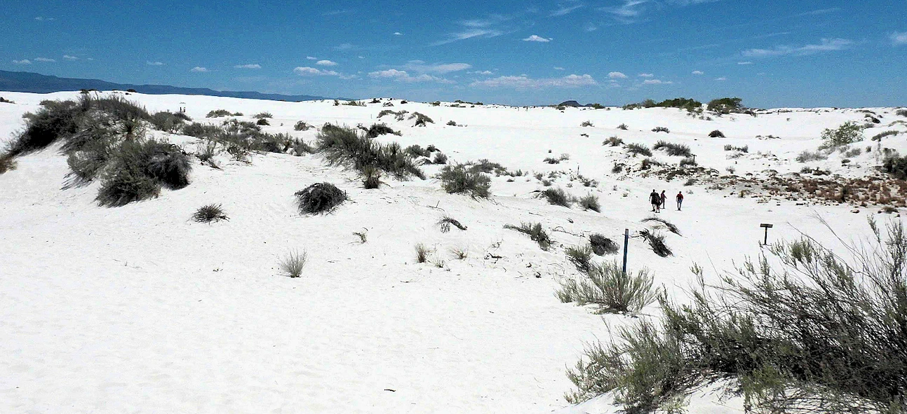 Visit White Sands National Park