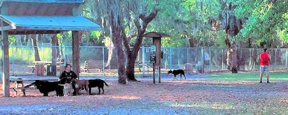 Puppy Playtime in Sarasota - Unleash Your Pup at Lakeview Dog Park