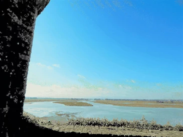 Experience the breathtaking beauty of Mont Saint-Michel on a day trip from Paris. This guide covers transportation options, must-see sights, and tips for making the most of your visit to this iconic island commune, famous for its stunning abbey and picturesque views