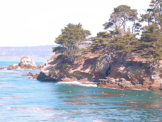 Explore Carmel-by-the-Sea, California! Charming village with art galleries, fairytale cottages, & beautiful beaches. Relax, wine taste, & discover world-class golf courses. Perfect getaway for couples, artists, & beach lovers.