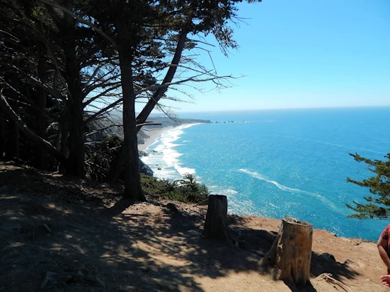 Driving the Coastal Highway and the Big Sur  - One of the Most Romantic Drives in the United States