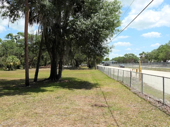 Puppy Playtime in Sarasota - Unleash Your Pup at Lakeview Dog Park