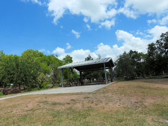 Puppy Playtime in Sarasota - Unleash Your Pup at Lakeview Dog Park