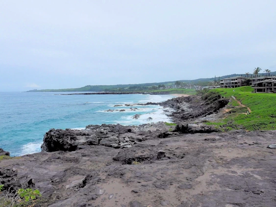 Our Hawaiian Islands Search for the best Malasadas