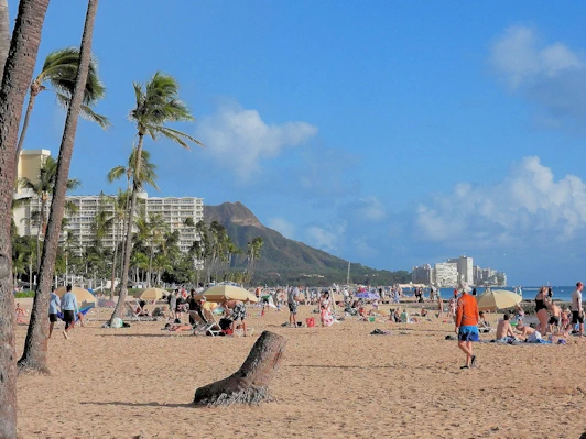 A description and images from a Trip to Oahu.