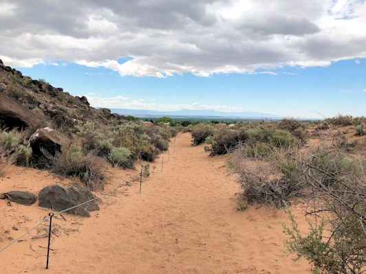 Explore Albuquerque's Petroglyph National Monument where ancient volcanic rock carvings reveal the history and culture of Native American and early Spanish settlers