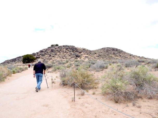 Explore Albuquerque's Petroglyph National Monument where ancient volcanic rock carvings reveal the history and culture of Native American and early Spanish settlers