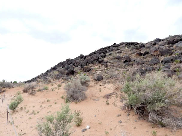 Explore Albuquerque's Petroglyph National Monument where ancient volcanic rock carvings reveal the history and culture of Native American and early Spanish settlers