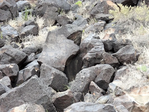 Explore Albuquerque's Petroglyph National Monument where ancient volcanic rock carvings reveal the history and culture of Native American and early Spanish settlers