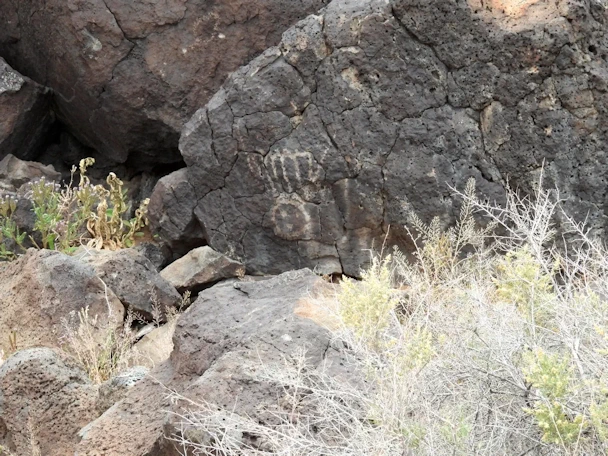 Explore Albuquerque's Petroglyph National Monument where ancient volcanic rock carvings reveal the history and culture of Native American and early Spanish settlers