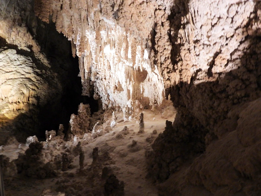 Discover everything you need to know about Carlsbad Caverns, from exploring its stunning underground formations to places to stay, how to get there, hours of operation, and essential tips for your visit 