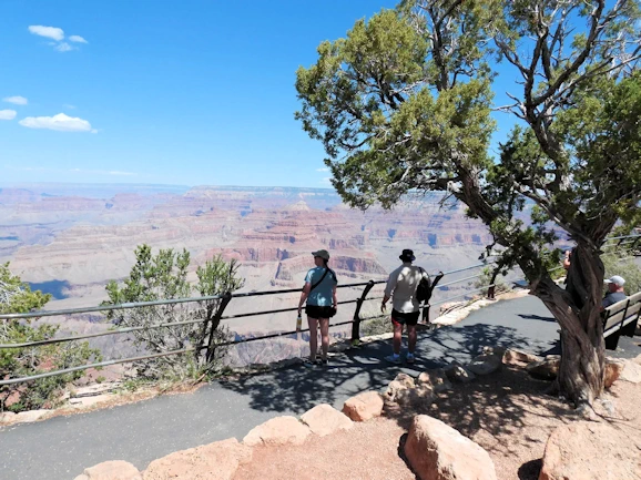 Looking for the best way to explore the Grand Canyon? Our itineraries for the south rim cover must-see sights, activities, and tips for an amazing adventure