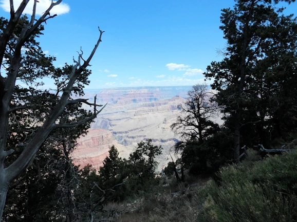 Looking for the best way to explore the Grand Canyon? Our itineraries for the south rim cover must-see sights, activities, and tips for an amazing adventure