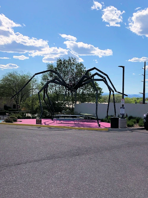 Visit Meow Wolf in Santa Fe for an immersive experience like no other. Journey through the House of Eternal Return, where interactive art and storytelling create a one-of-a-kind world where imagination and creativity collide