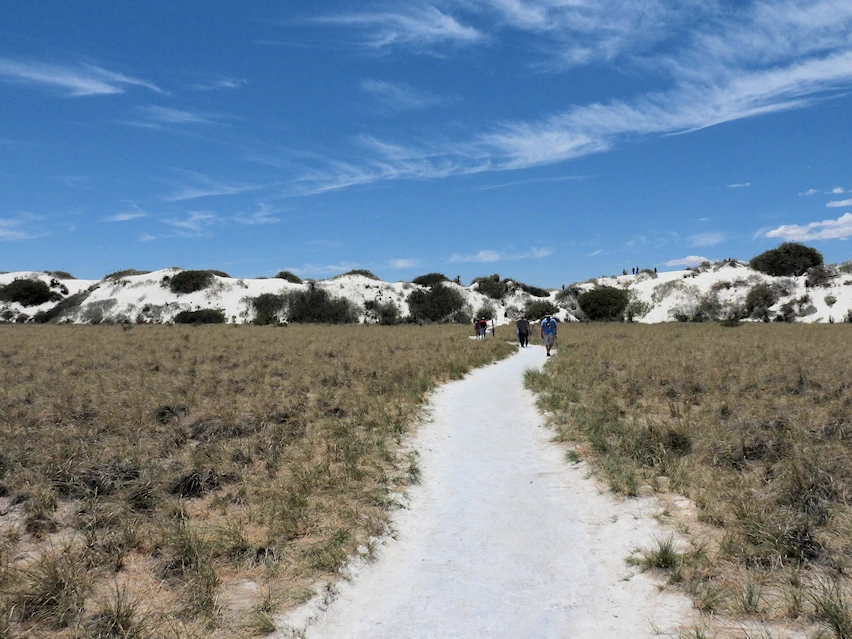 Discover White Sands National Park in New Mexico, the largest sand dunes of this type in the United States.  Get all of the information you need for a successful visit