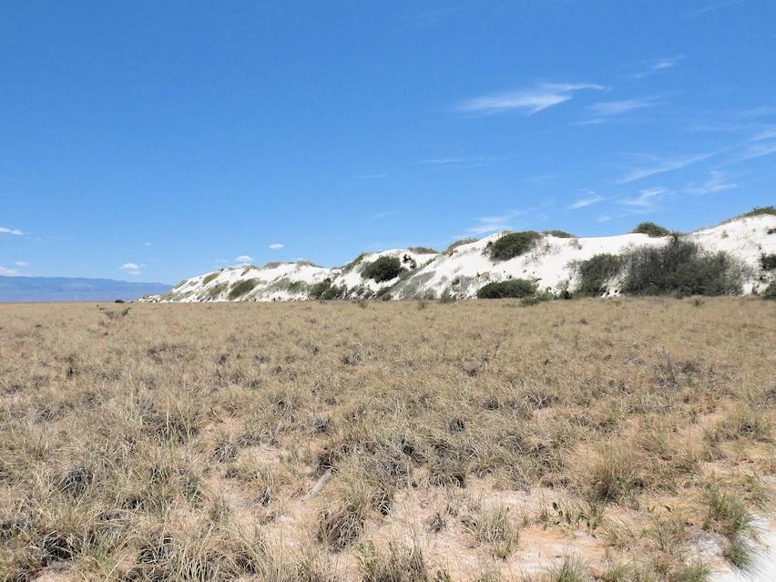 Discover White Sands National Park in New Mexico, the largest sand dunes of this type in the United States.  Get all of the information you need for a successful visit