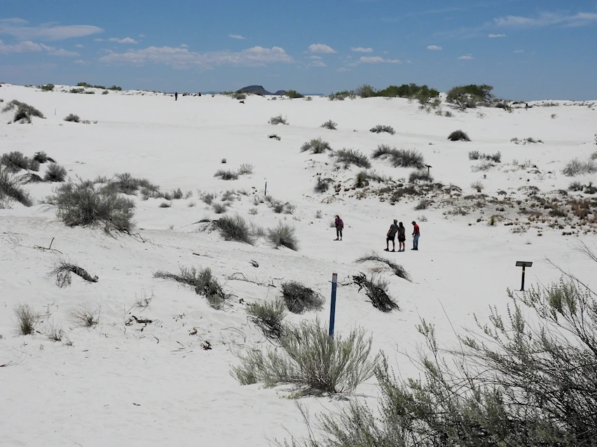 Discover White Sands National Park in New Mexico, the largest sand dunes of this type in the United States.  Get all of the information you need for a successful visit