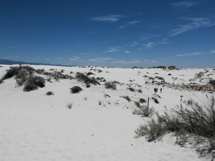 Discover White Sands National Park in New Mexico, the largest sand dunes of this type in the United States.  Get all of the information you need for a successful visit